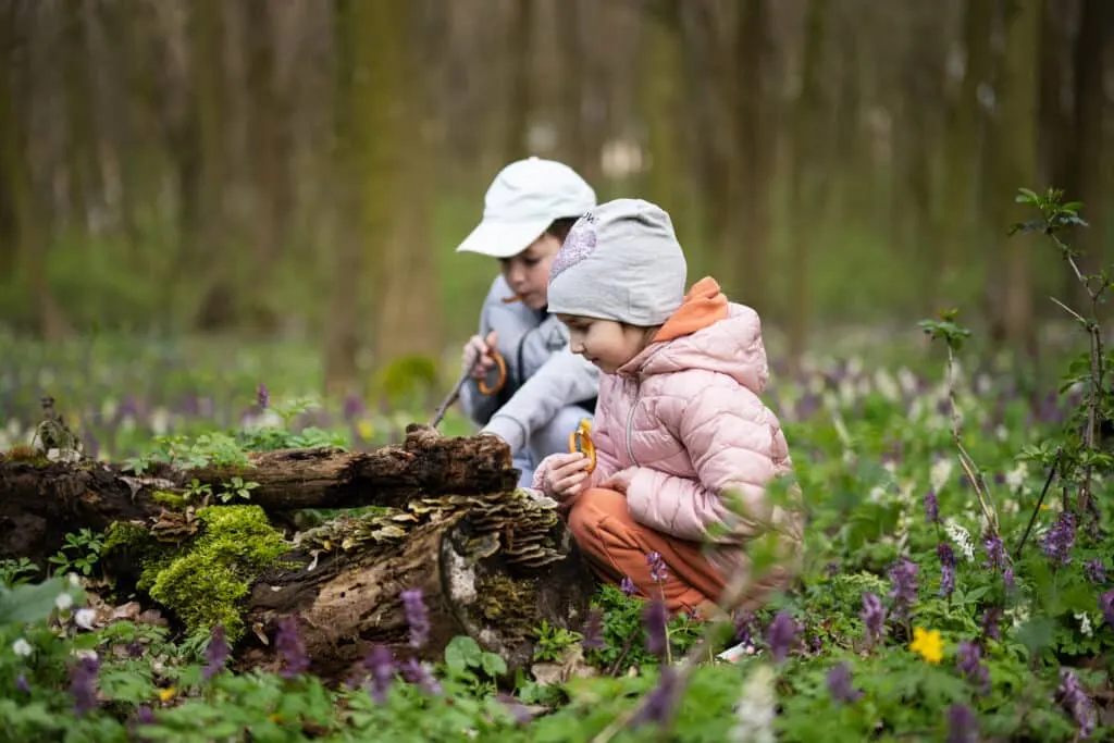 Jungle Scout : l’outil essentiel pour explorer la jungle du e-commerce